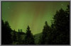 Bow Valley Aurora